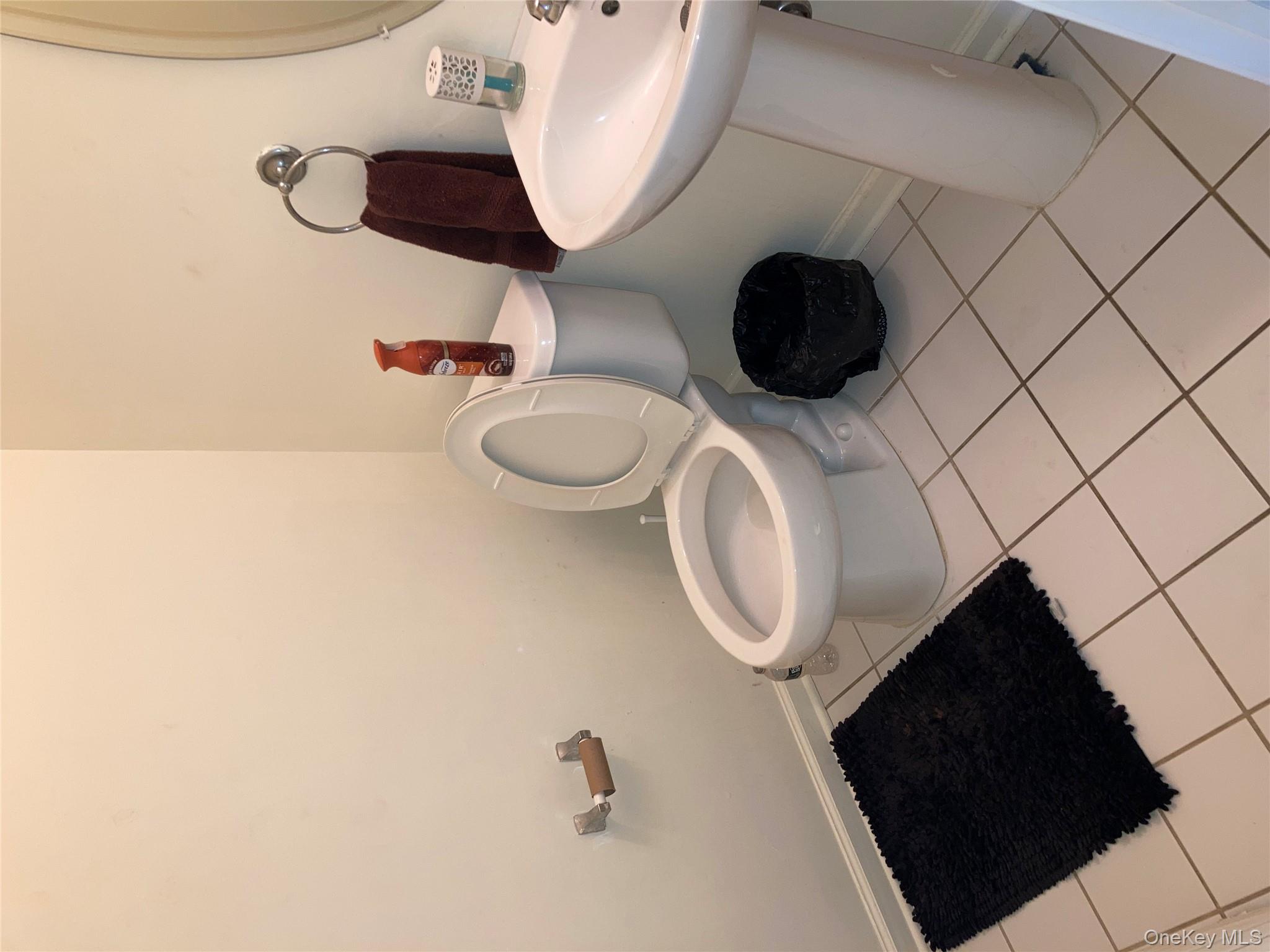 3 Webster Court, Monroe, NY 10950