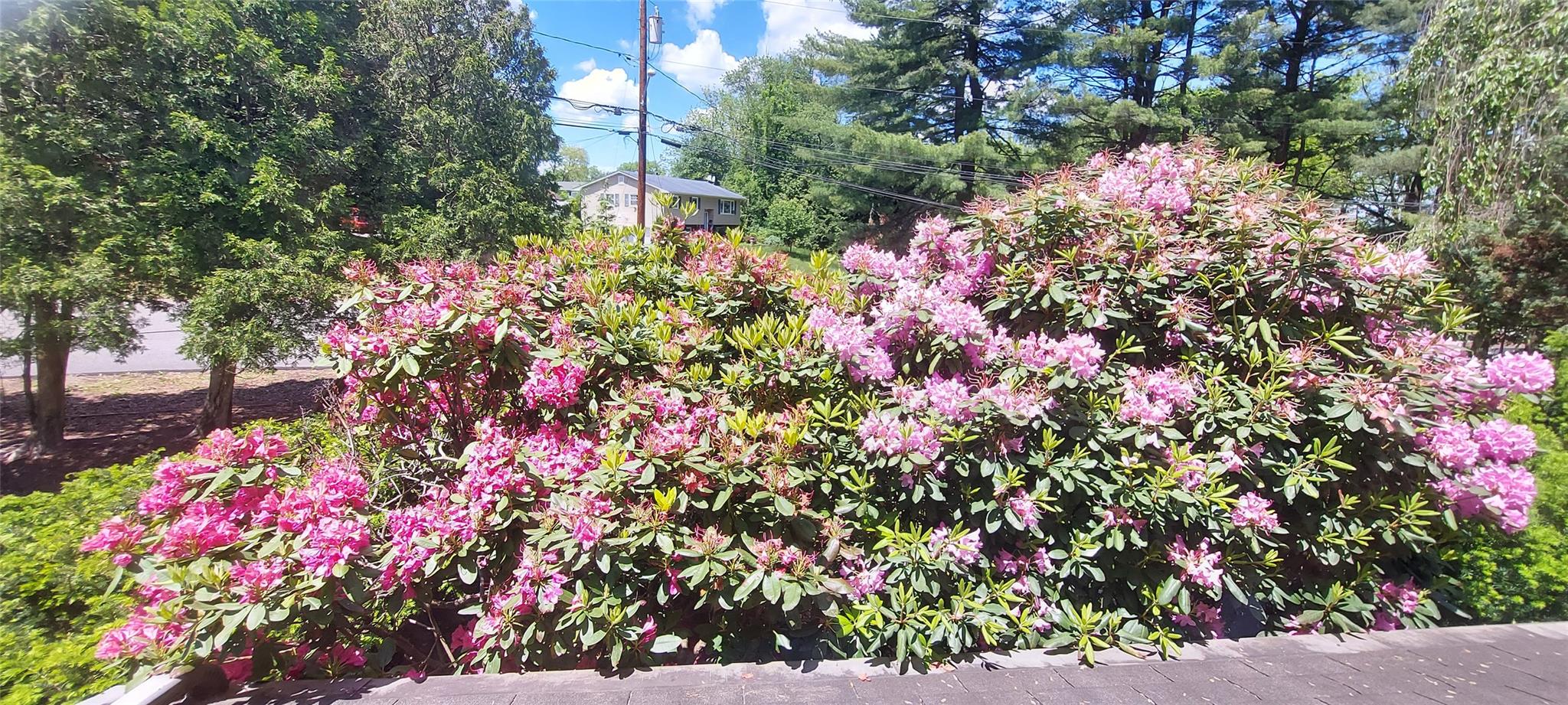 2 N Eckerson Lane, Spring Valley, NY 10977