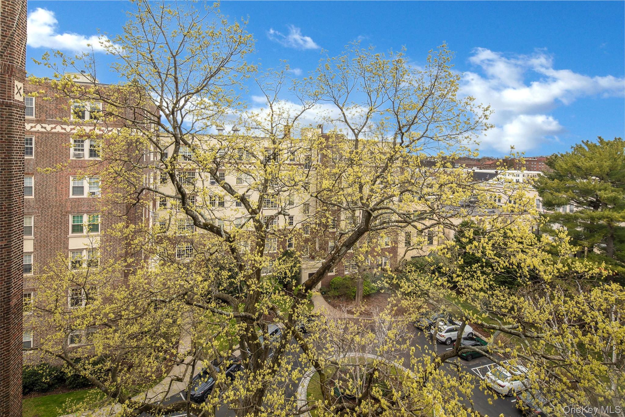 7 Tanglewylde Avenue # 6C, Bronxville, NY 10708
