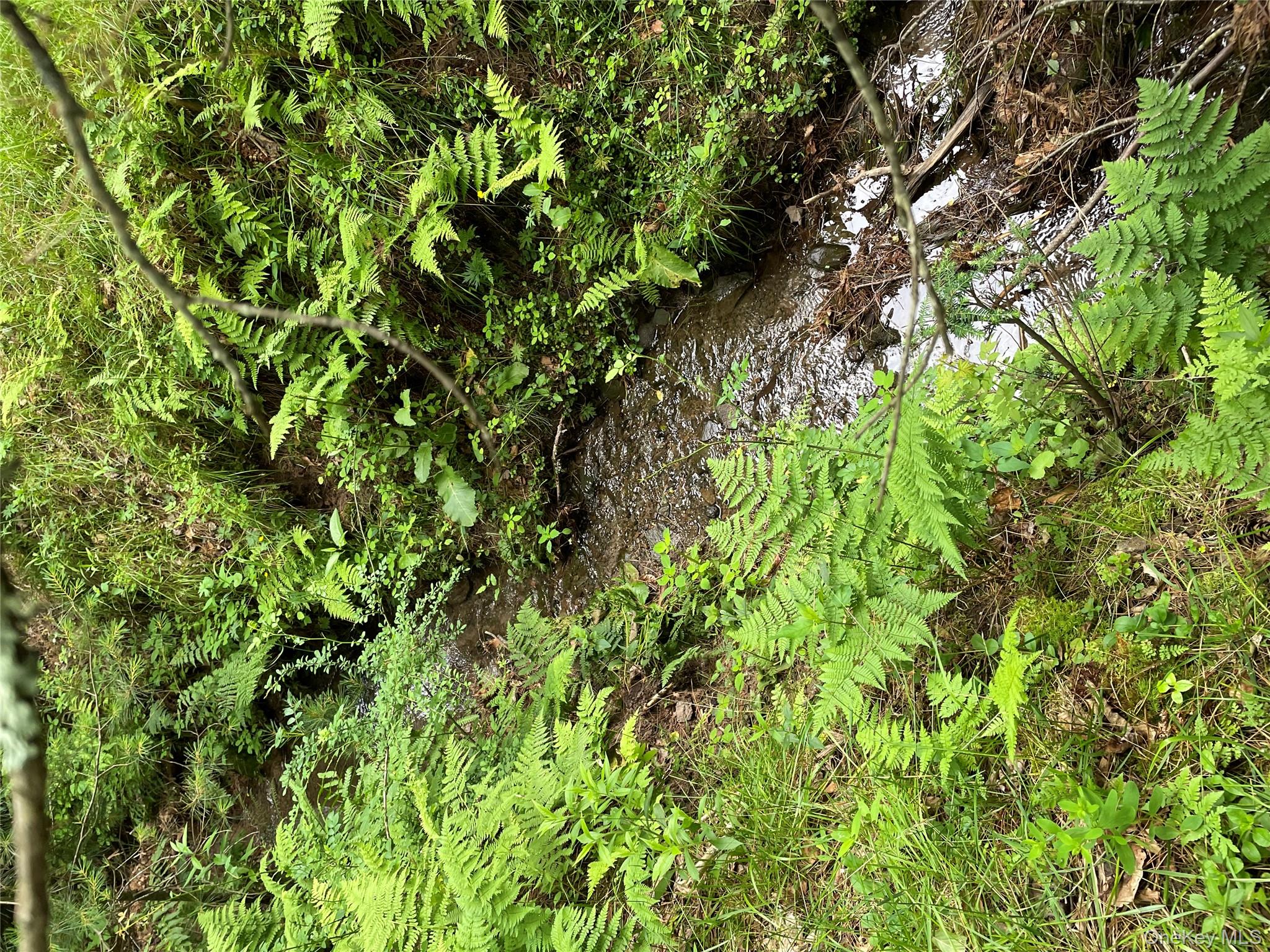 375 County Road 114, Cochecton, NY 12726