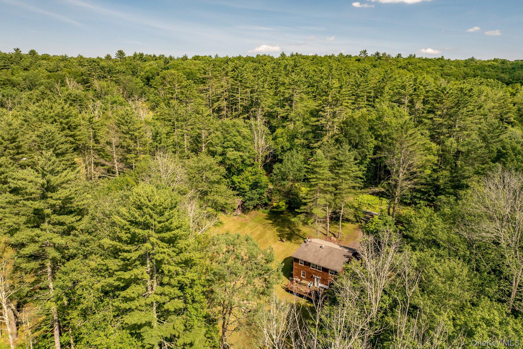 375 County Road 114, Cochecton, NY 12726