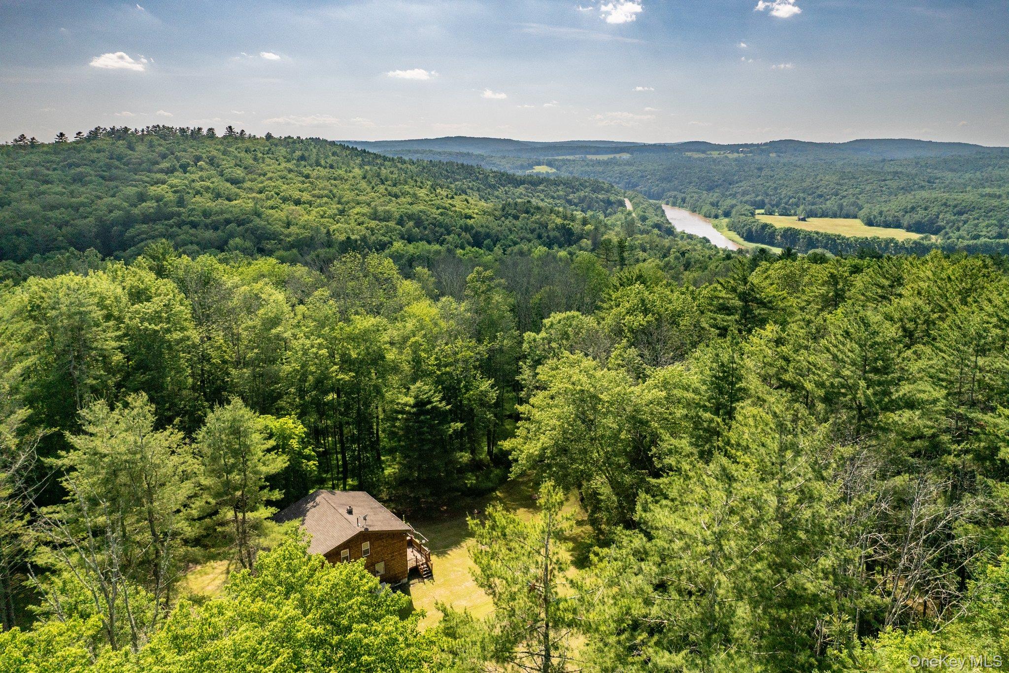 375 County Road 114, Cochecton, NY 12726