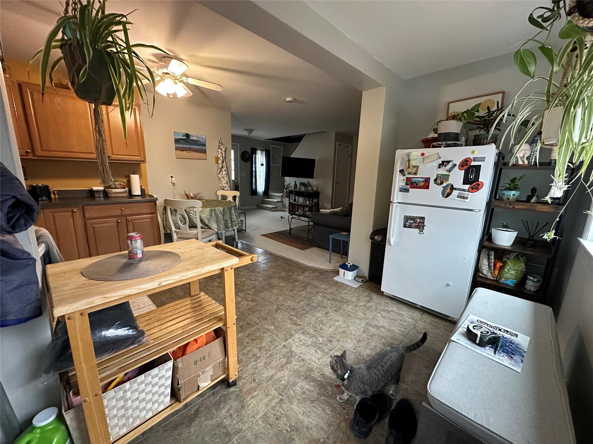 451 New Paltz, Highland, NY 12528