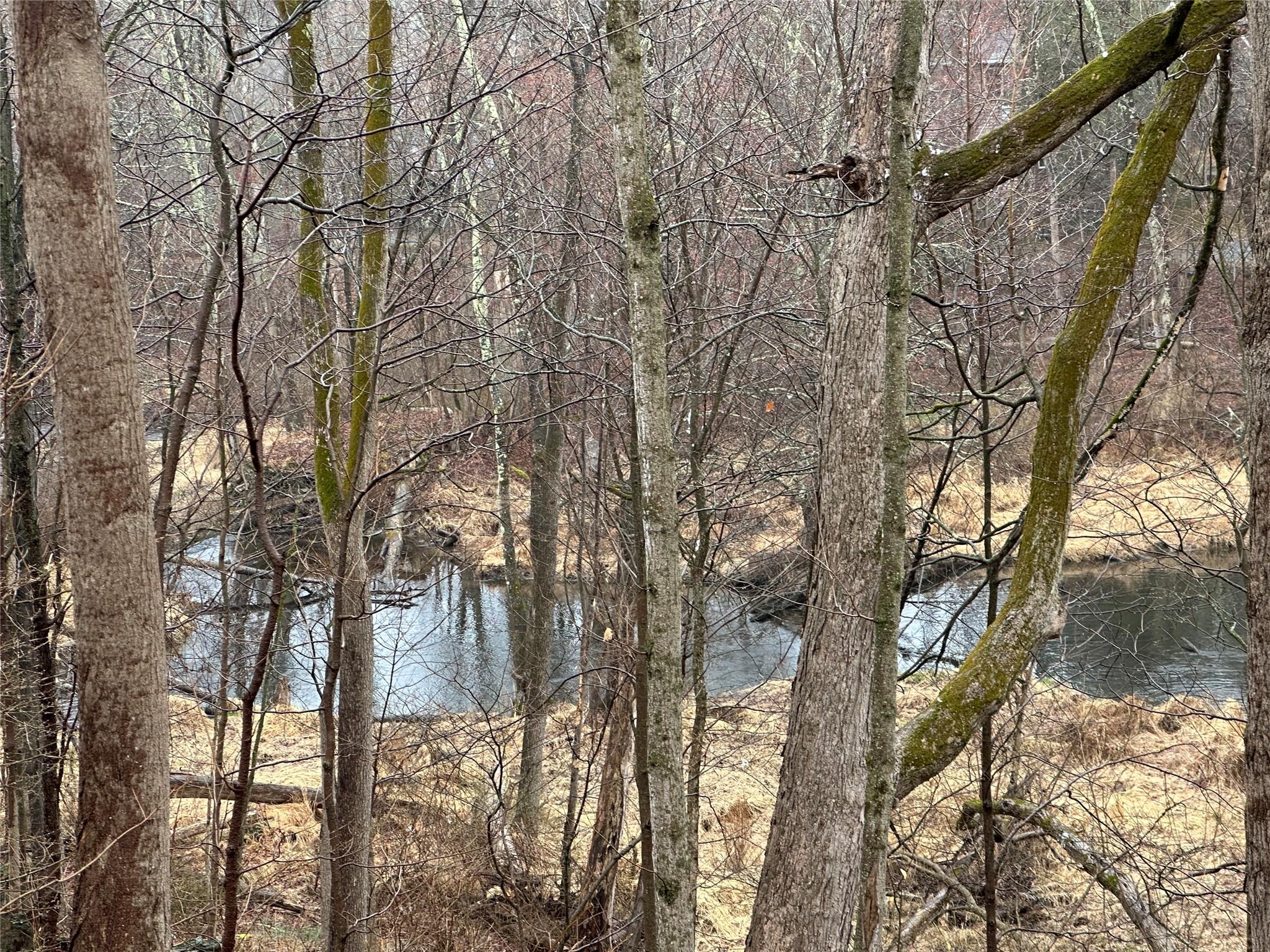 451 New Paltz, Highland, NY 12528