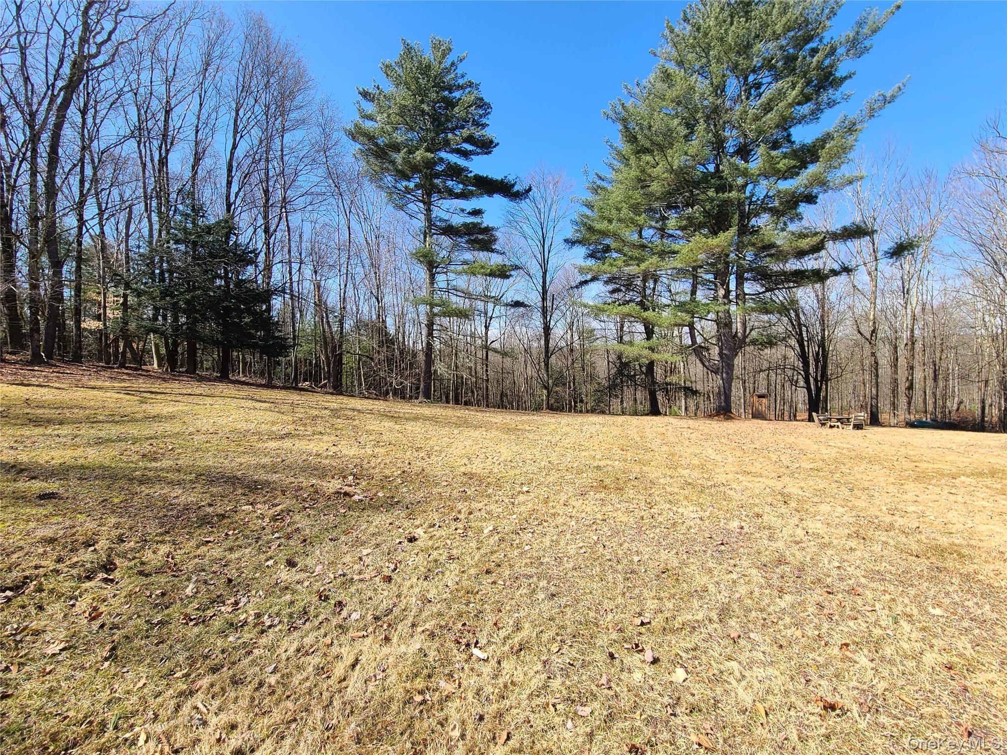 1095 State Route 17B, Mongaup Valley, NY 12762