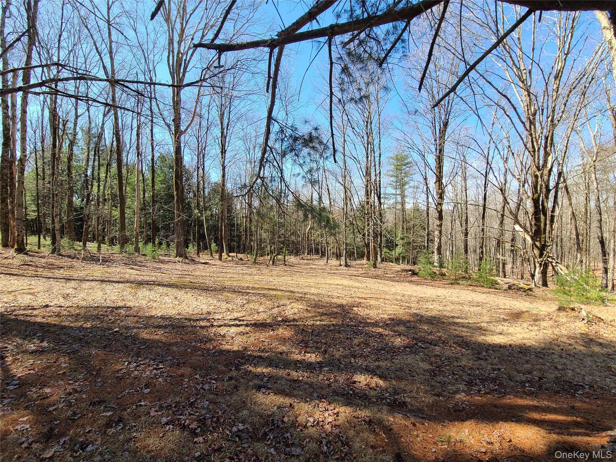 1095 State Route 17B, Mongaup Valley, NY 12762