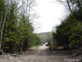 39 Birch Lane, Swan Lake, NY 12783