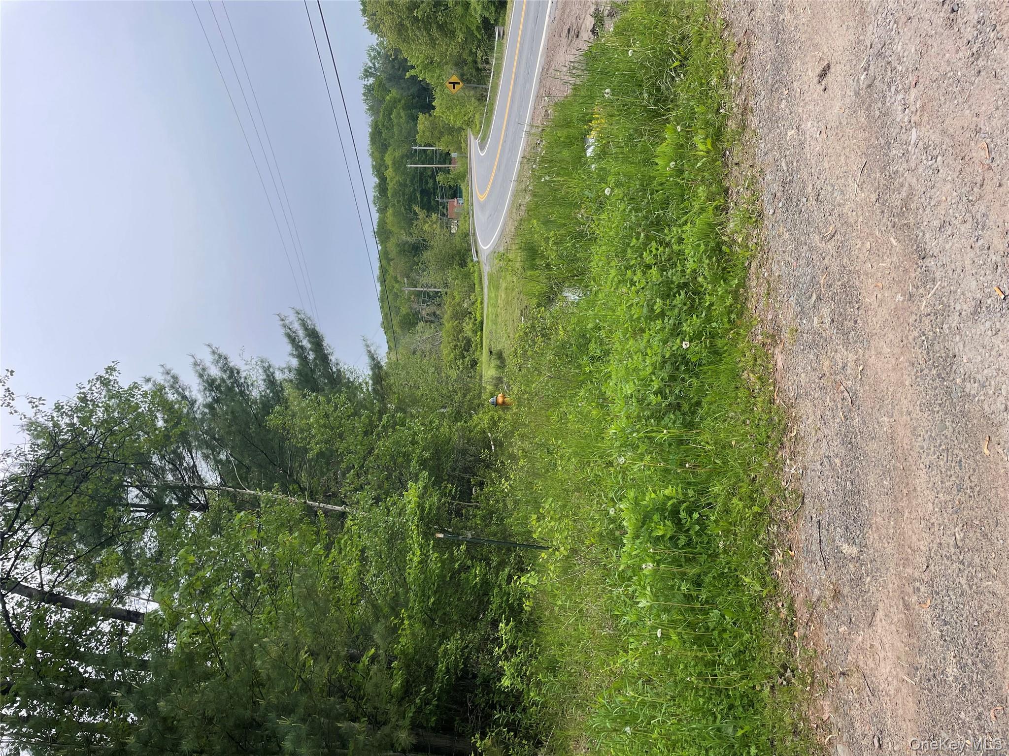 39 Birch Lane, Swan Lake, NY 12783