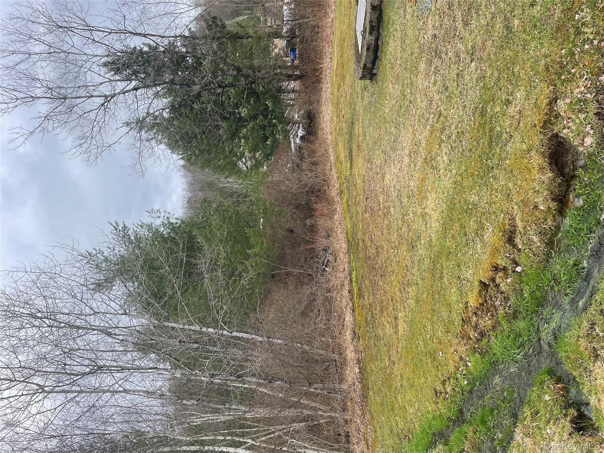 39 Birch Lane, Swan Lake, NY 12783