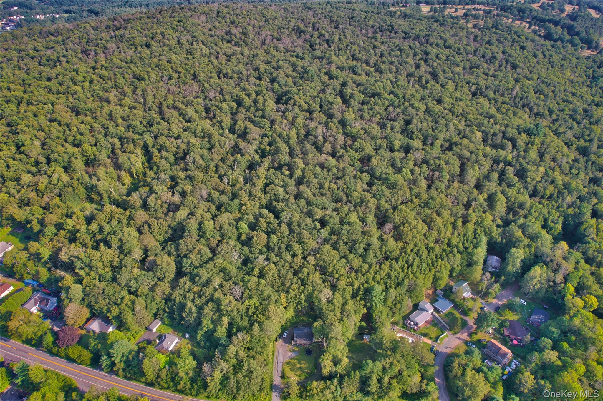 39 Birch Lane, Swan Lake, NY 12783