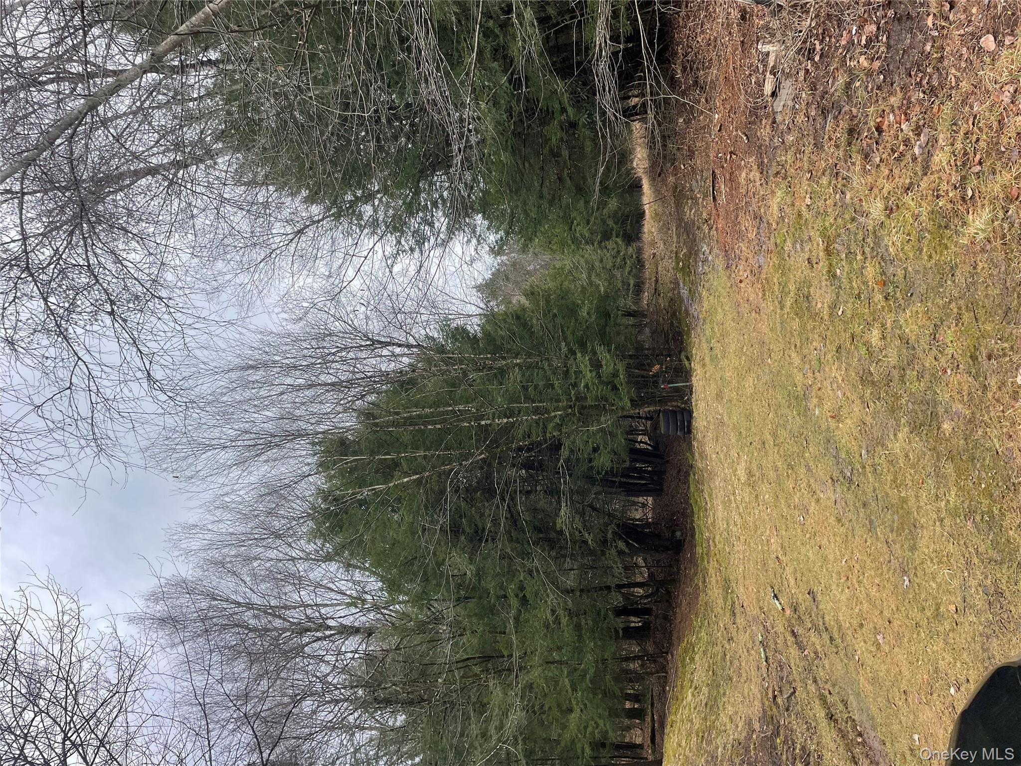 39 Birch Lane, Swan Lake, NY 12783