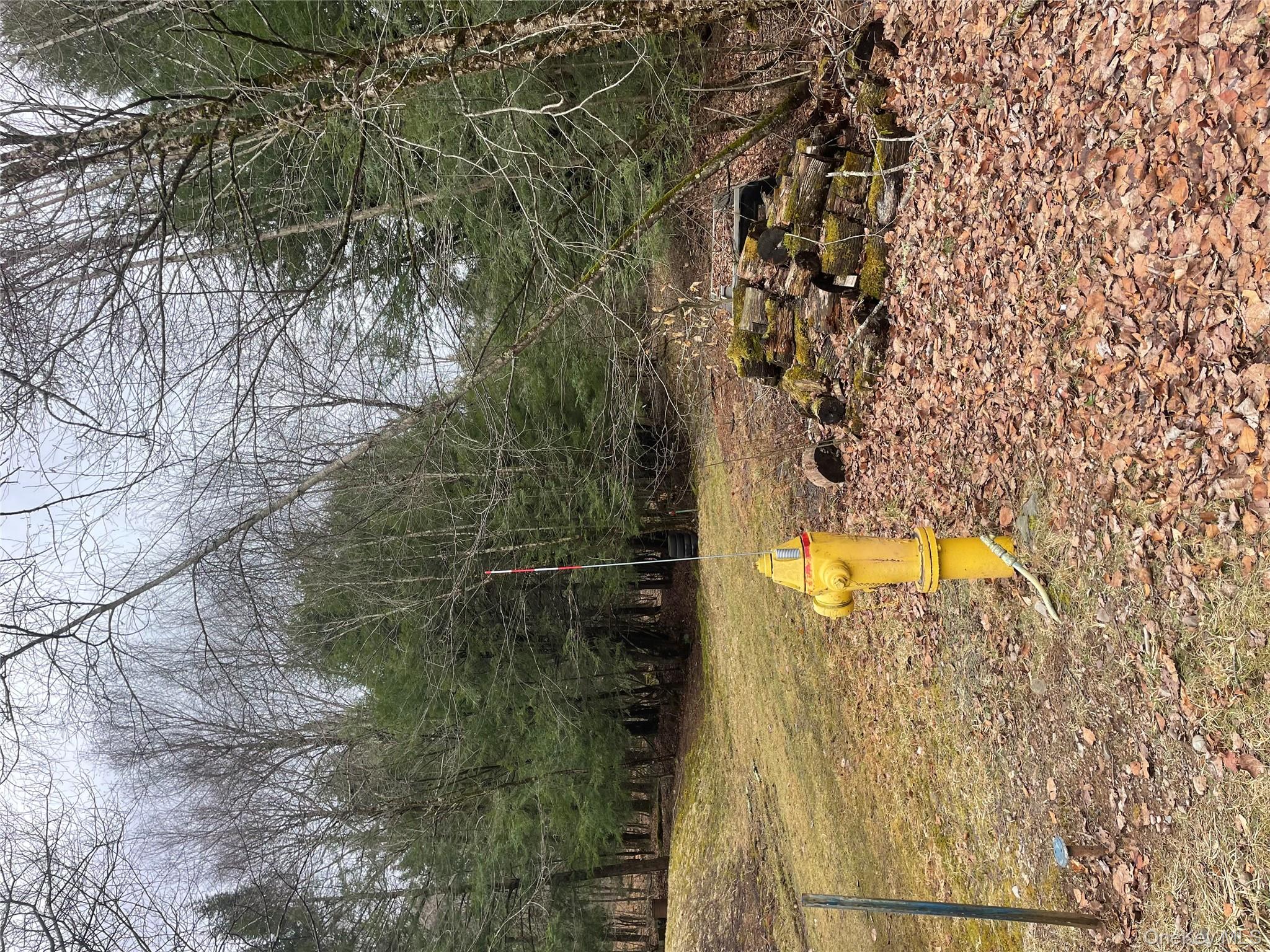 39 Birch Lane, Swan Lake, NY 12783