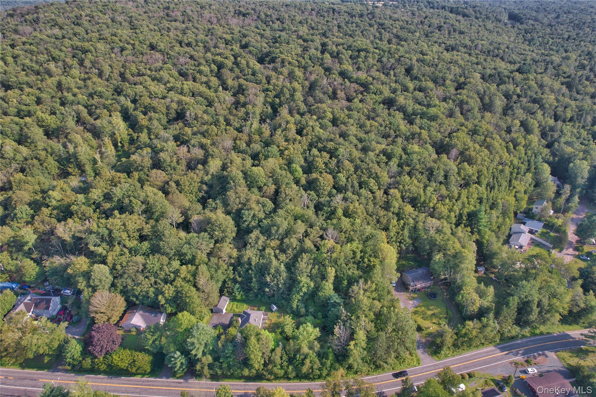 39 Birch Lane, Swan Lake, NY 12783