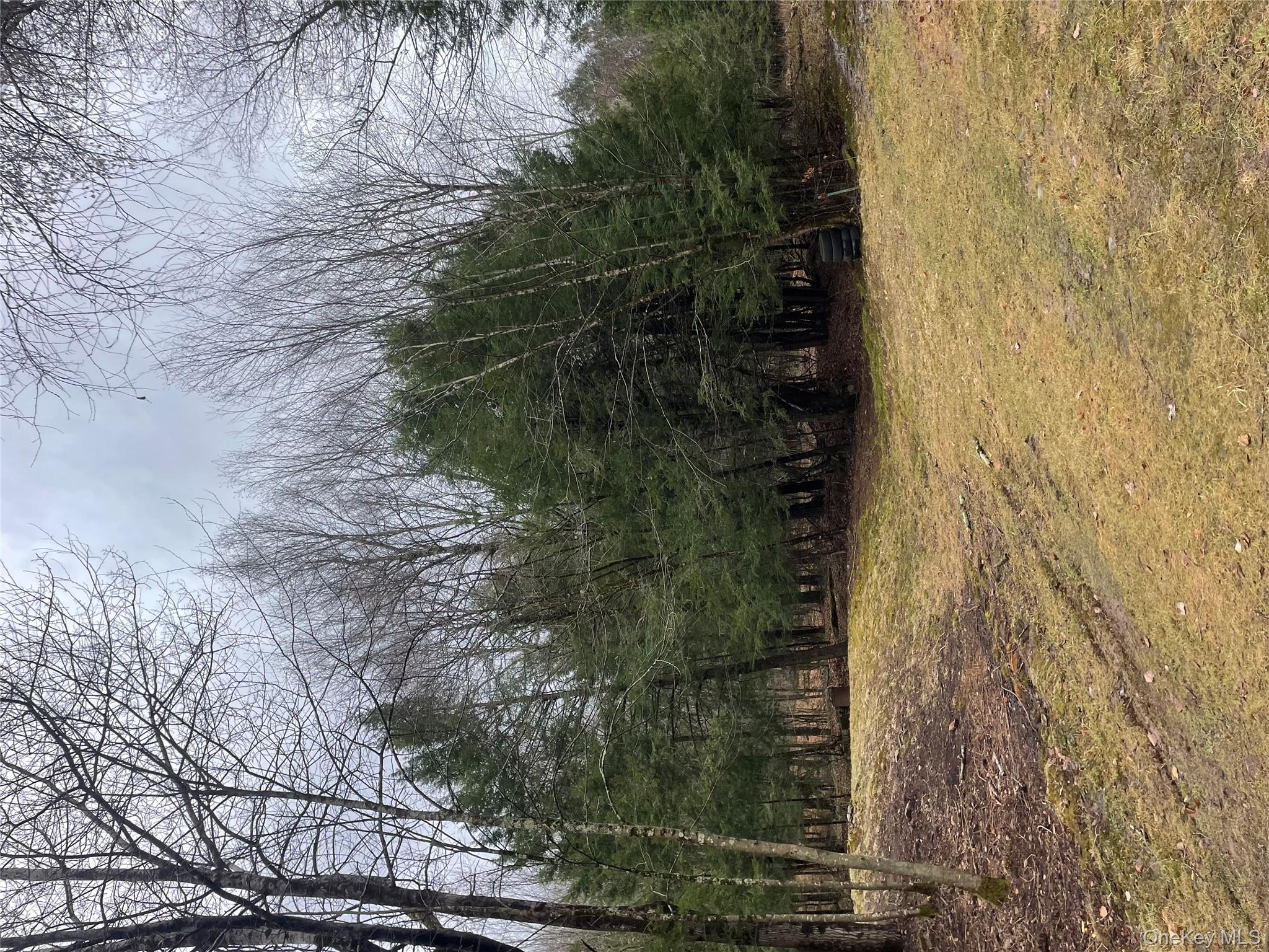 39 Birch Lane, Swan Lake, NY 12783