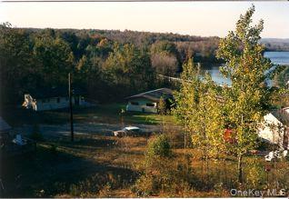 39 Birch Lane, Swan Lake, NY 12783