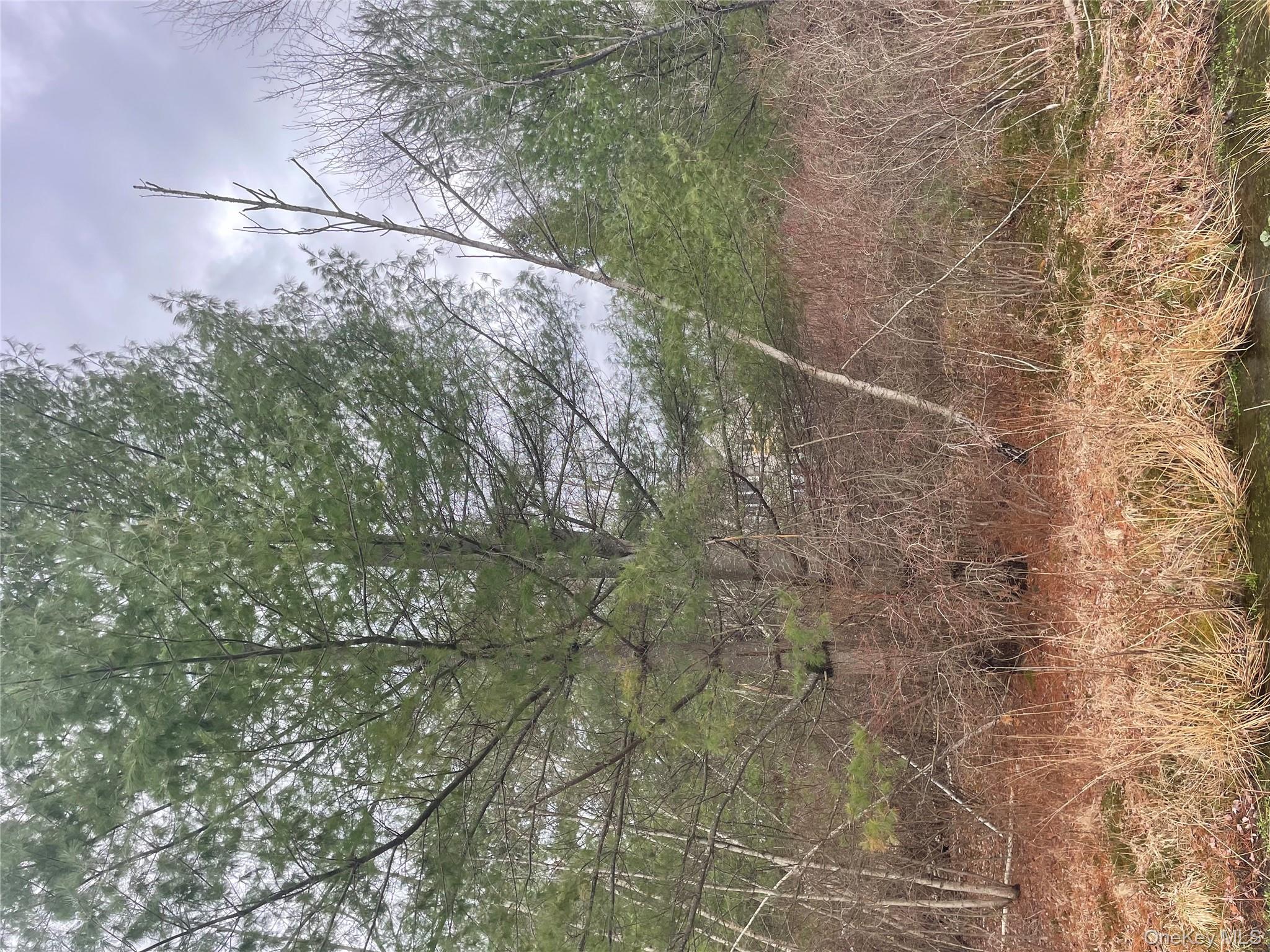 39 Birch Lane, Swan Lake, NY 12783