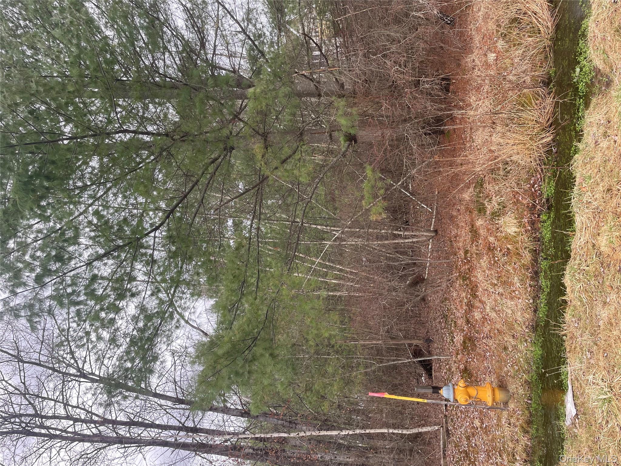 39 Birch Lane, Swan Lake, NY 12783