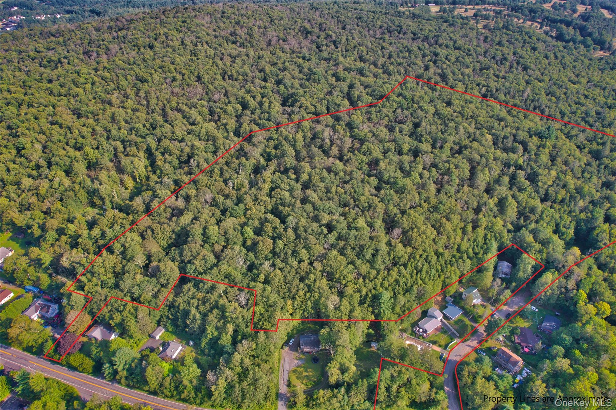 39 Birch Lane, Swan Lake, NY 12783