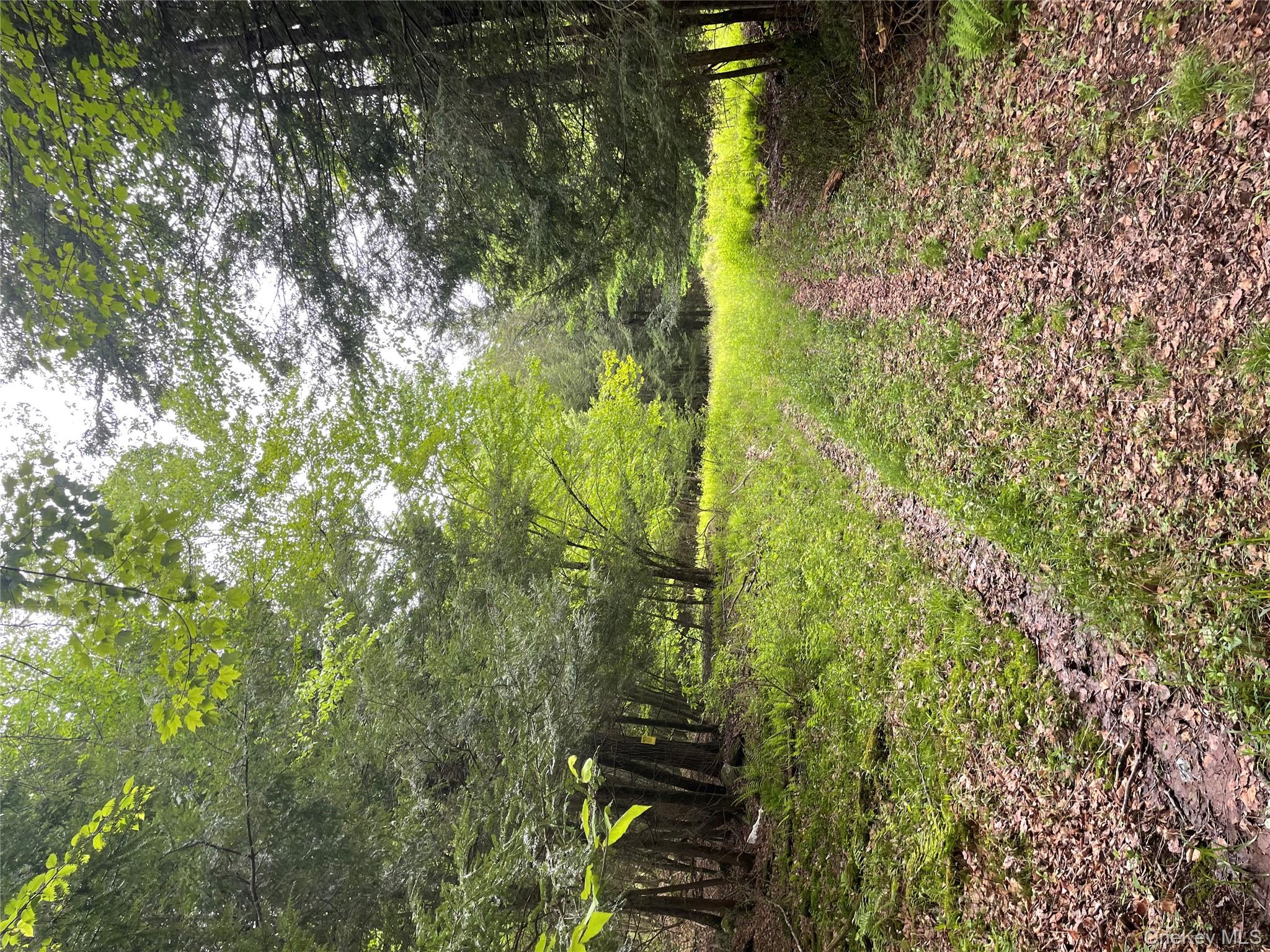 39 Birch Lane, Swan Lake, NY 12783