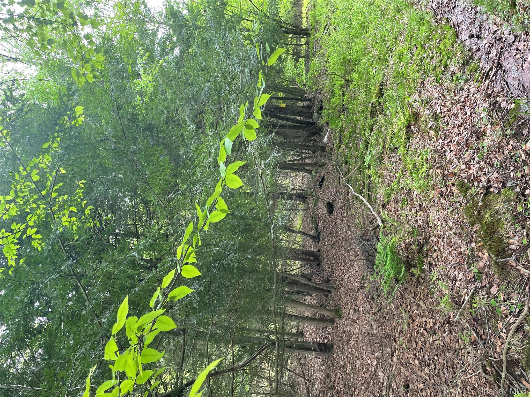 39 Birch Lane, Swan Lake, NY 12783