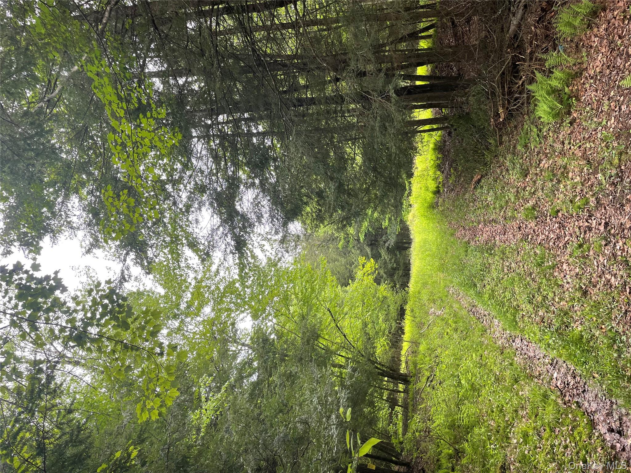 39 Birch Lane, Swan Lake, NY 12783