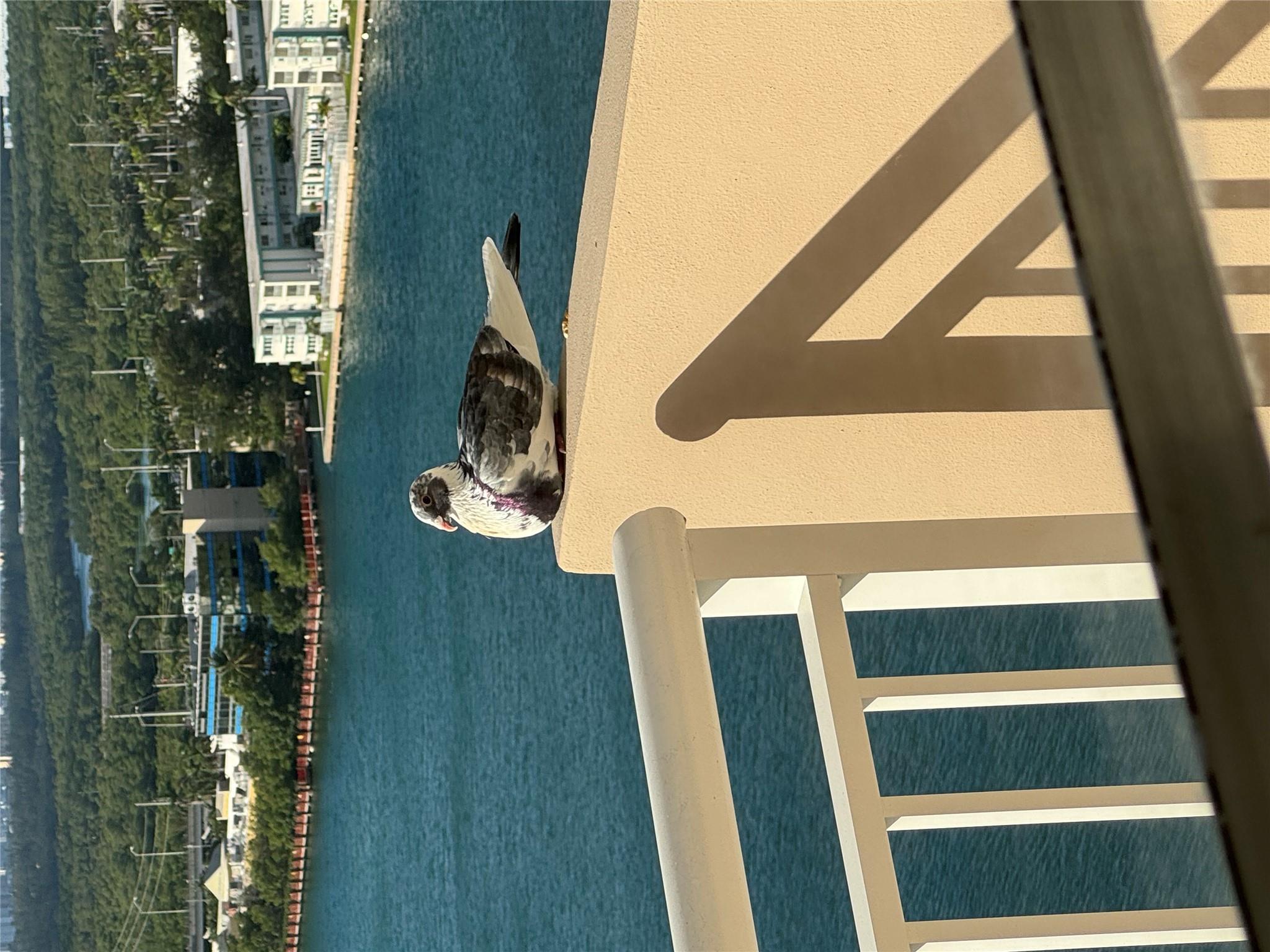 250 174th St. # 1820, Other, FL 33160