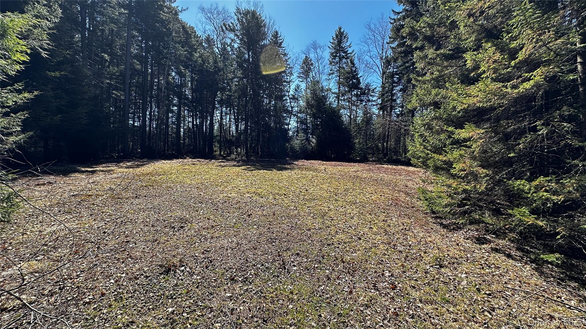 734 Cooley Road, Parksville, NY 12768