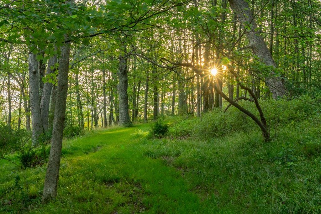 220 Vista Maria Road, Cragsmoor, NY 12420