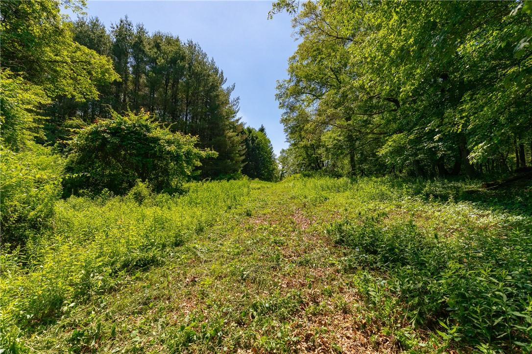 Northrup Northrup Road, Dover Plains, NY 12522