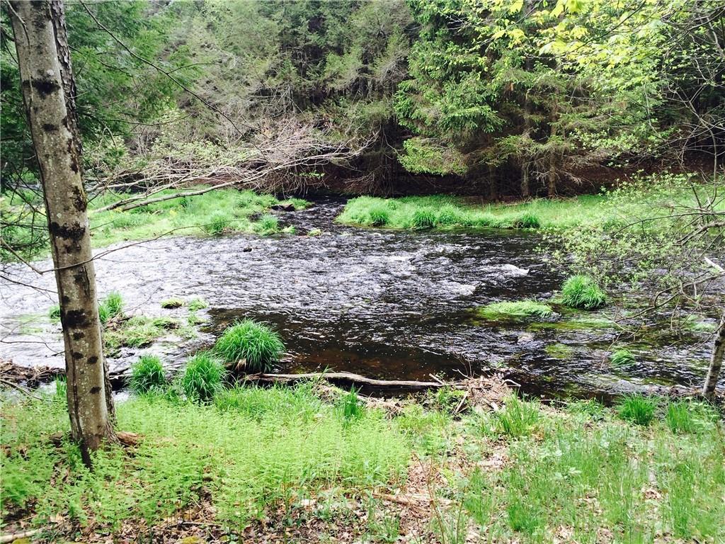 Lot 2 Chapin Trail, Bethel, NY 12720