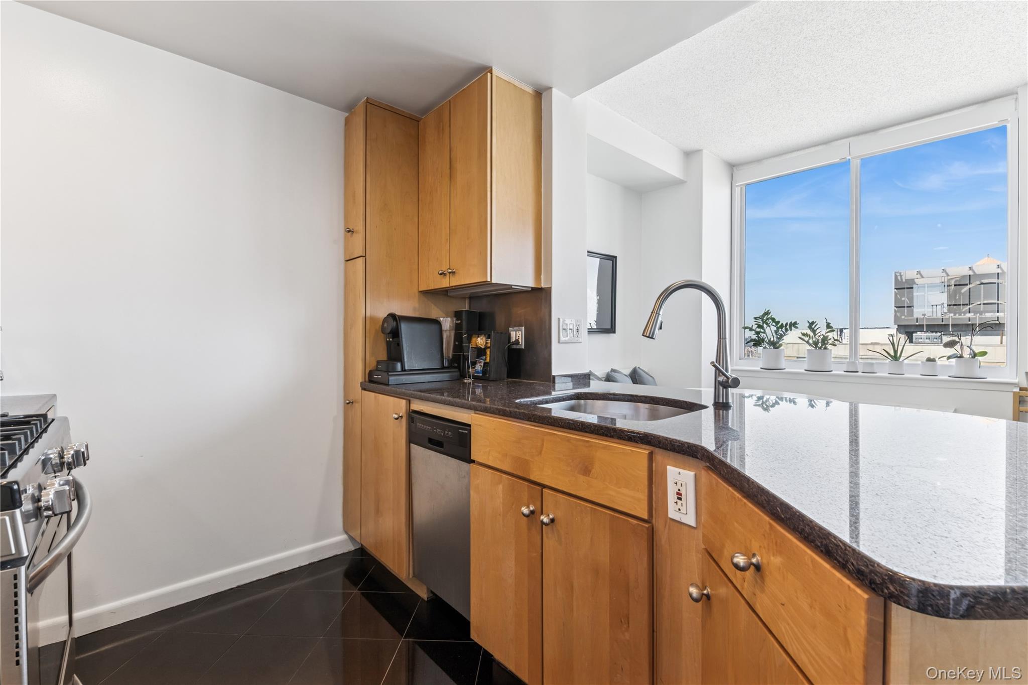 4-74 48th Avenue # PH4D, Long Island City, NY 11109