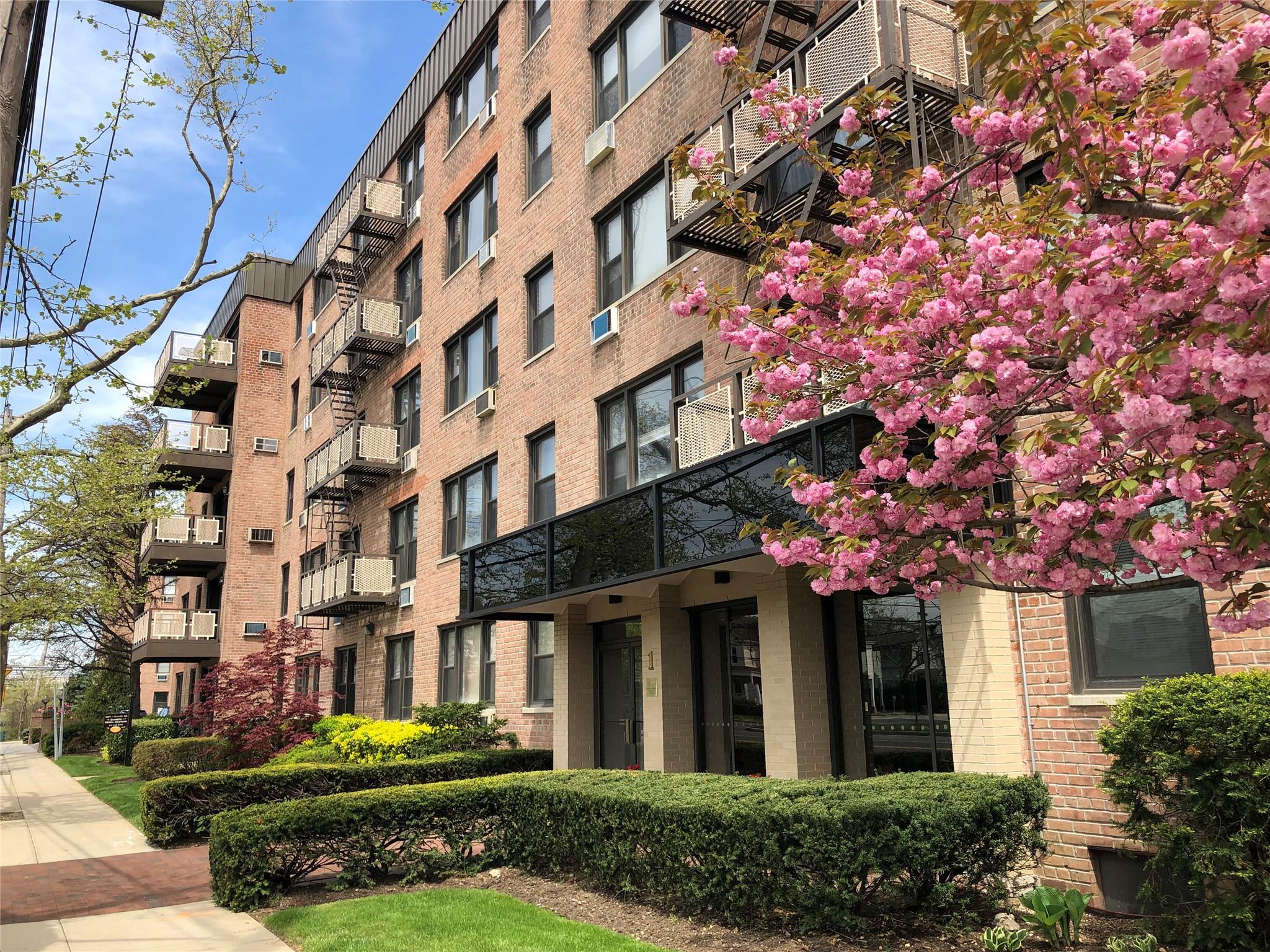 1 NE Birchwood Court # 2F, Mineola, NY 11501