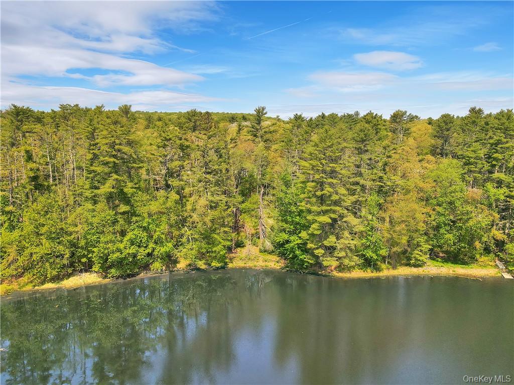 3409 State Route 97, Barryville, NY 12719