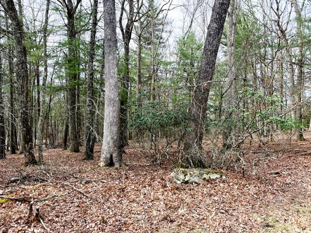 Lot 11 Magnolia Drive, Glen Spey, NY 12737