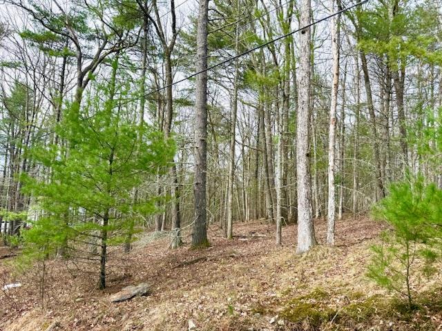 Lot 11 Magnolia Drive, Glen Spey, NY 12737
