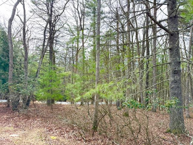 Lot 11 Magnolia Drive, Glen Spey, NY 12737