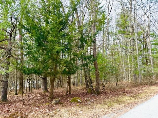 Lot 11 Magnolia Drive, Glen Spey, NY 12737