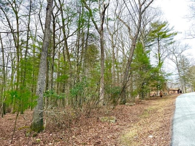 Lot 11 Magnolia Drive, Glen Spey, NY 12737