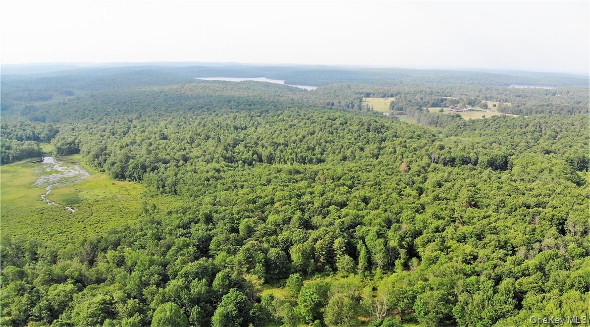 13 Mitchel Road, White Lake, NY 12786