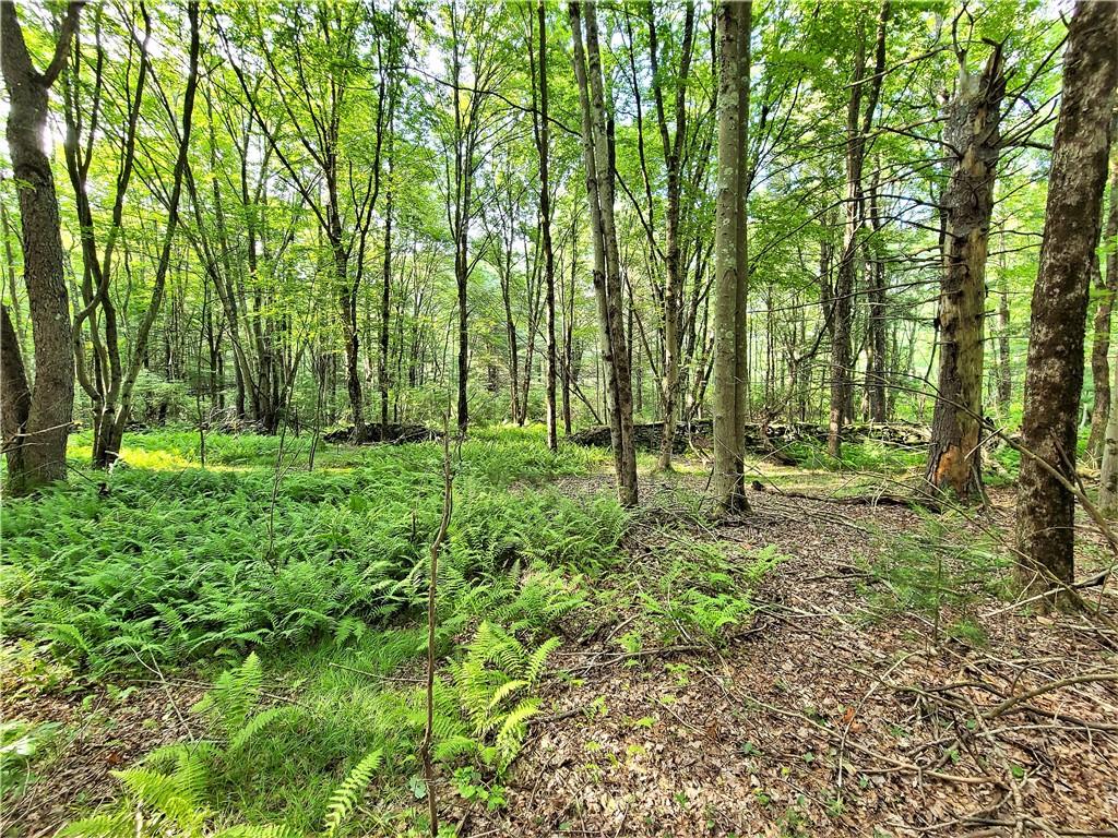 TBD Mitchel Road, White Lake, NY 12786