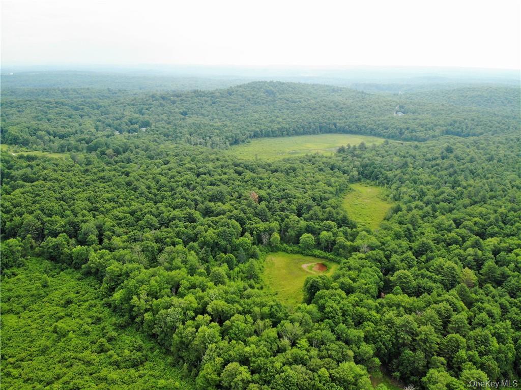 13 Mitchel Road, White Lake, NY 12786