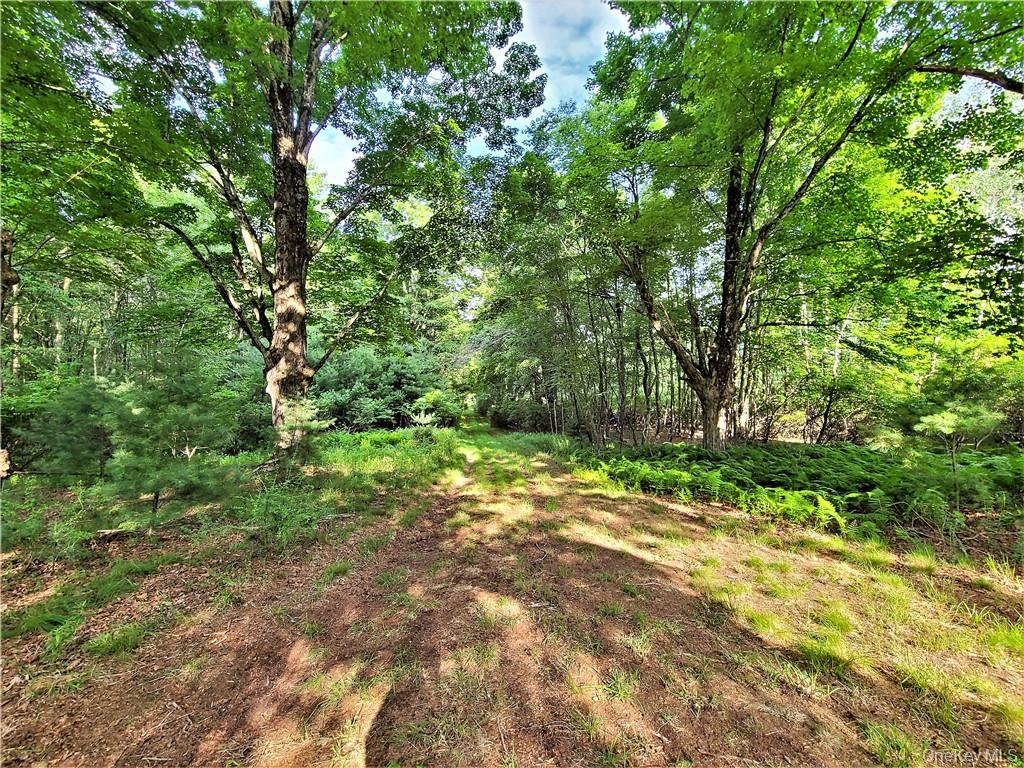 13 Mitchel Road, White Lake, NY 12786