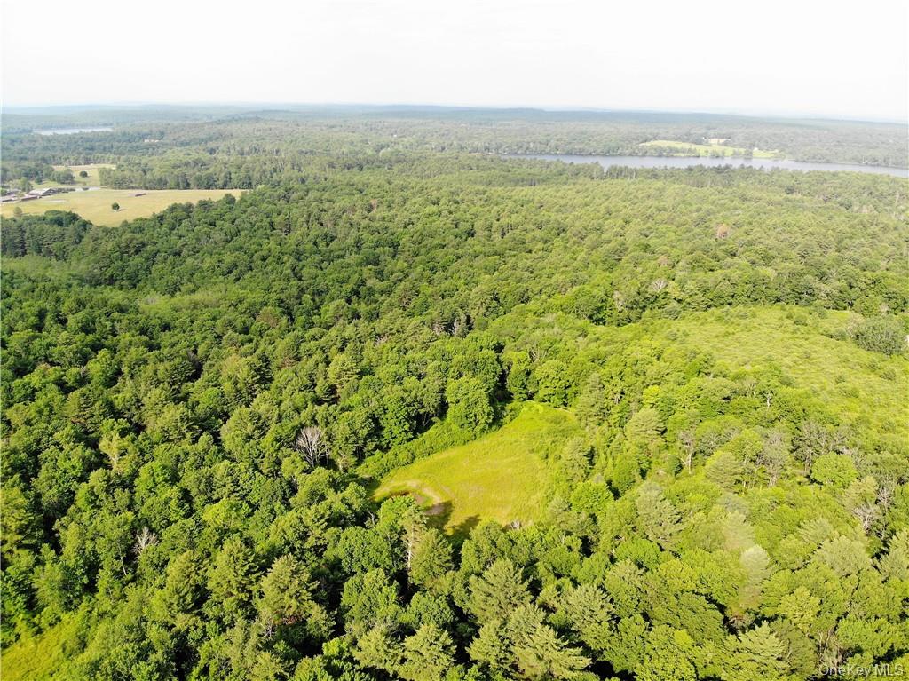 13 Mitchel Road, White Lake, NY 12786