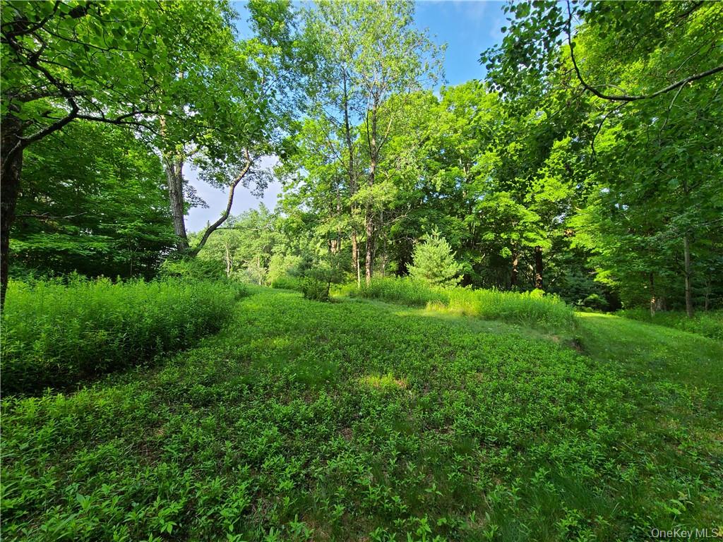 13 Mitchel Road, White Lake, NY 12786