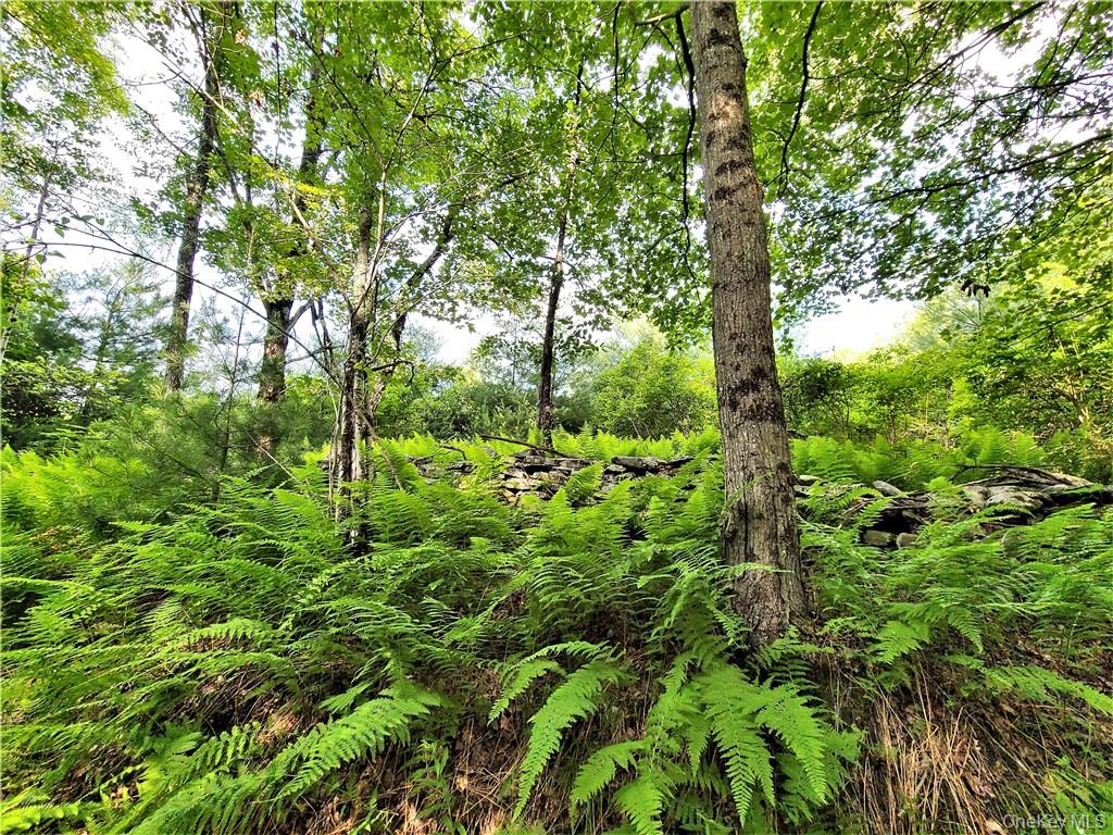 13 Mitchel Road, White Lake, NY 12786