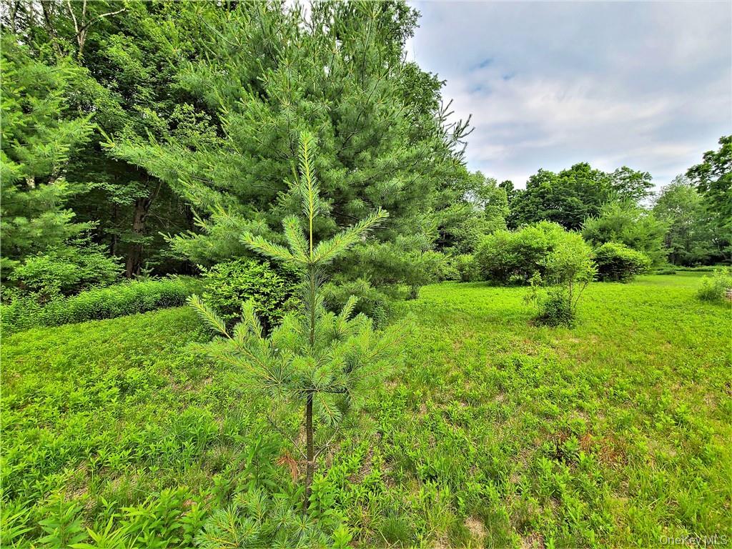 13 Mitchel Road, White Lake, NY 12786