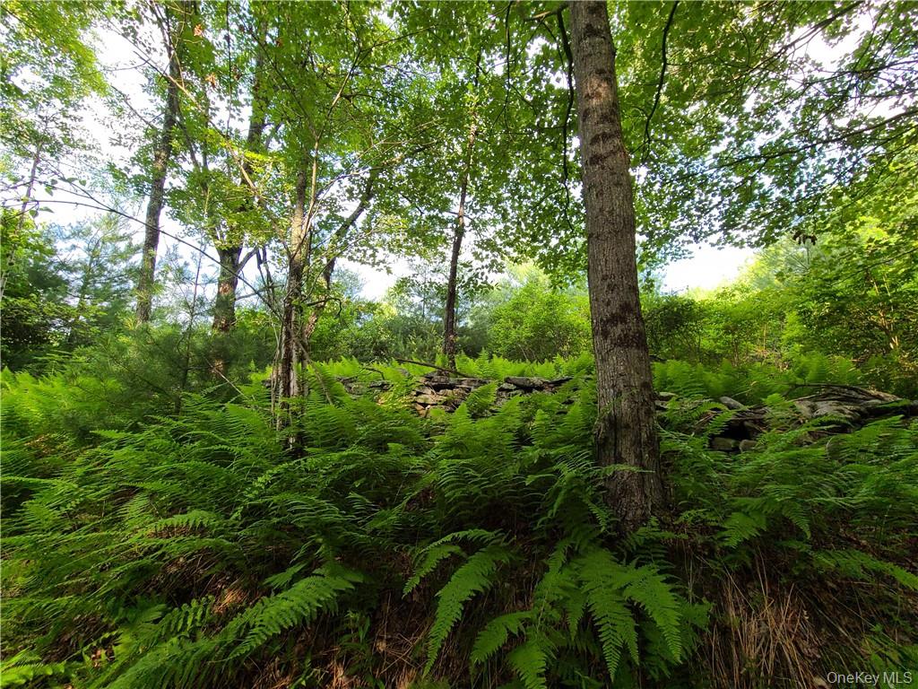 13 Mitchel Road, White Lake, NY 12786