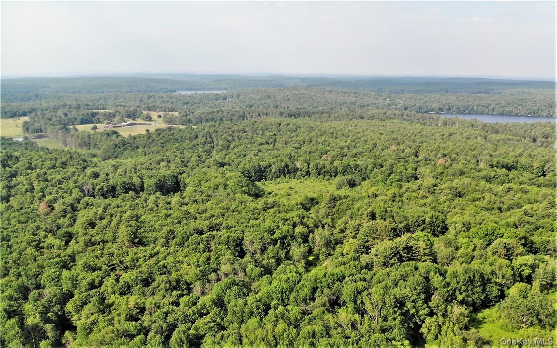 13 Mitchel Road, White Lake, NY 12786