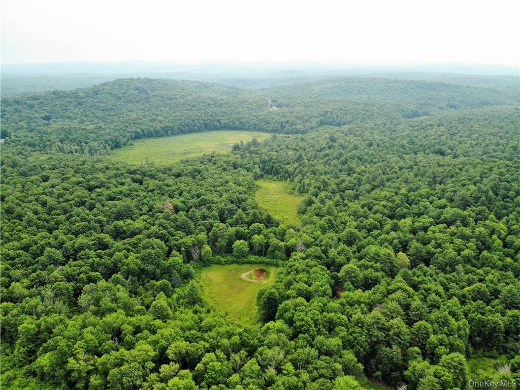 13 Mitchel Road, White Lake, NY 12786