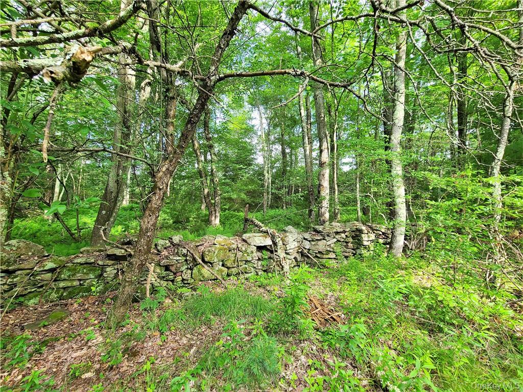 13 Mitchel Road, White Lake, NY 12786